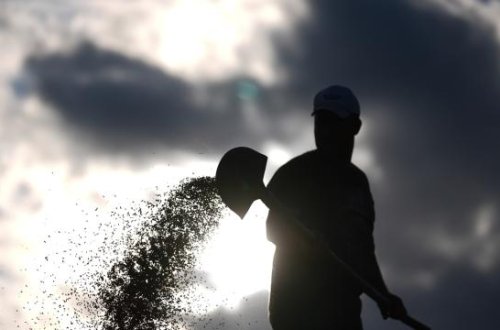 Şimali Koreya Rusiyaya hərbi dəstək müqabilində düyü alacaq