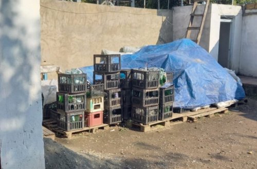 Gəncədə limonad istehsalı müəssisəsinin fəaliyyəti məhdudlaşdırılıb