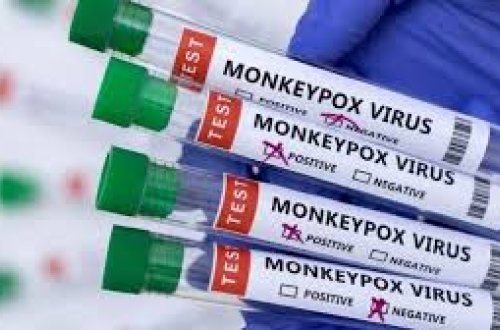 Britaniyada meymunçiçəyinin yeni ştamı ilə bağlı həyəcan: Yoluxanların sayı artır