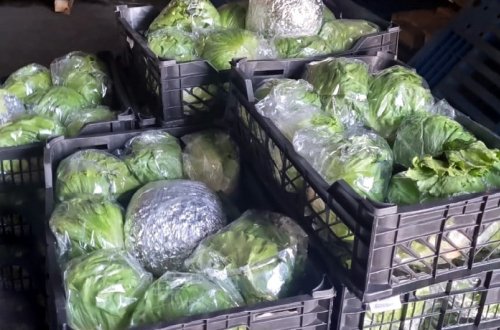 Külli miqdarda narkotikin gömrük sərhədindən keçirilməsinin qarşısı alınıb