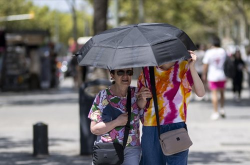 2024-cü il ən isti il seçildi