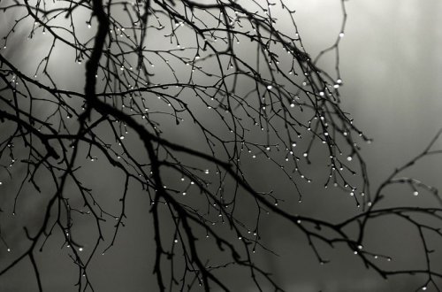 Bəzi yerlərdə leysan yağıb - FAKTİKİ HAVA