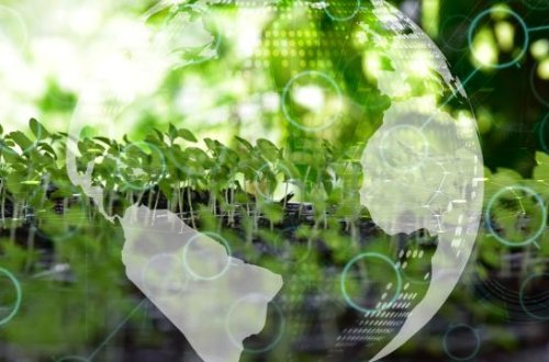 BMT: İqlim dəyişikliyi köçkünlər üçün ölümcül təhlükədir