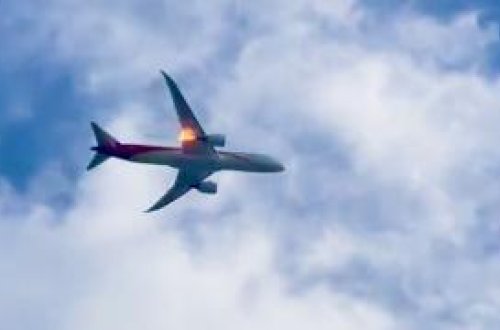 Havada yanğın panikası: Quş təyyarəyə dəydi və mühərrik alovlandı