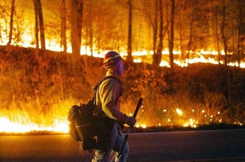 Nyu Cersidə meşə yanğını: Yağış alovları söndürə bilməyib