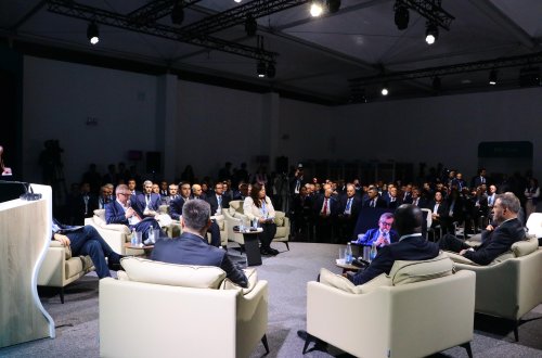 Baş prokuror: Planeti birgə əməkdaşlıq etməklə ekoloji cinayətlərdən qorumaq olar