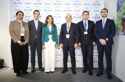 Zaur Mikayilov OPEC Fondunun vitse-prezidenti xanım Şaima Al-Şeybi ilə görüş keçirib