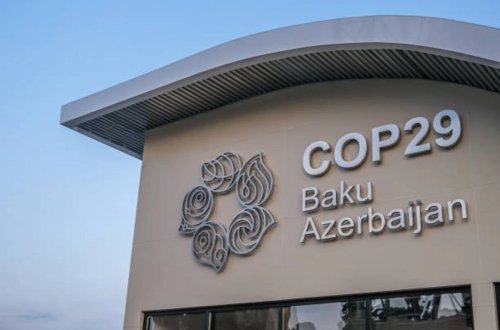 COP29-un səkkizinci günü: Mavi Zonada tədbirlərə start verildi