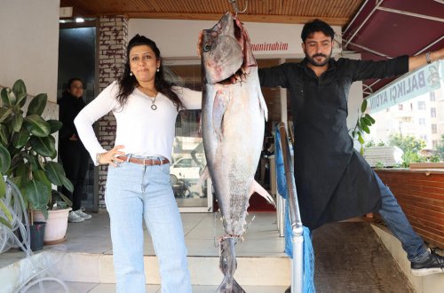 Türkiyəli balıqçının tutduğu balıq heyrətə gətirdi - İnsan boydadır - FOTO