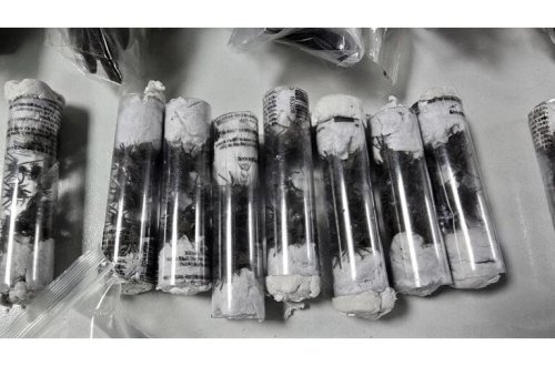 Hava limanında tarantula əməliyyatı: Üzərində yüzlərlə ekzotik heyvanla tutuldu