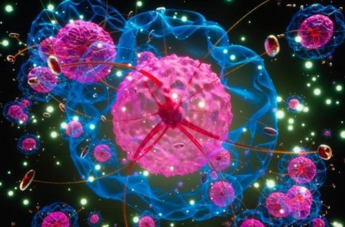 Xərçəng hüceyrələrinin aşkarlanması xərclərinin icbari tibbi sığorta təminatına alınması təklif edilib