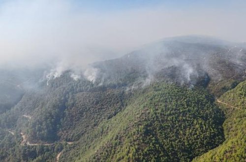 Ekvadorda quraqlıq və meşə yanğınları səbəbindən iki ay müddətinə fövqəladə vəziyyət elan edilib