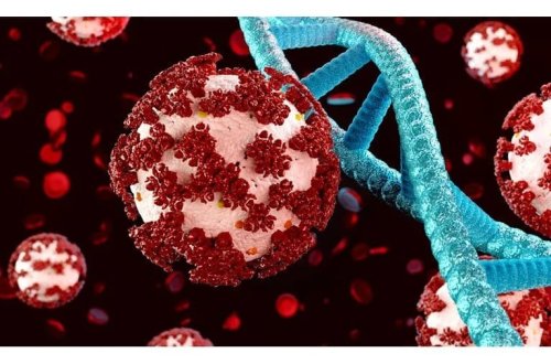 Covid virusu xərçəngin müalicəsində istifadə olunacaq