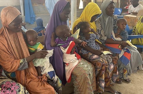 Nigeriyada 4 milyon uşağın təcili humanitar yardıma ehtiyacı var
