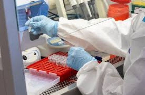 Arktik nəhənglər: Rekord böyüklükdə unikal viruslar aşkarlandı