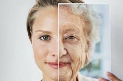 Dəri gəncliyinin sirləri: Qırışlara qarşı 8 əsas məhsul