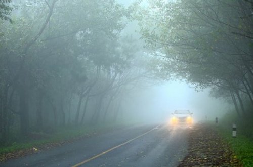 Bəzi rayonlarda duman görünüşü məhdudlaşdırıb - FAKTİKİ HAVA