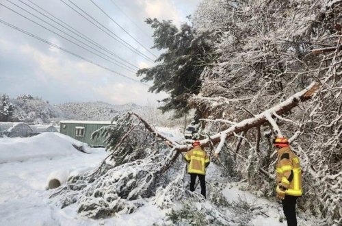 Cənubi Koreyada qar fırtınası həyatı iflic edib: 4 nəfər ölüb