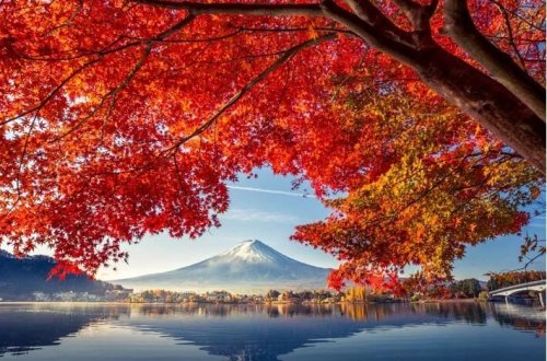 Yaponiyada son 126 ilin ən isti payızı yaşanıb