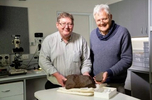 Qızıl zənn edib gizlətdi, amma o, qat-qat qiymətli oldu: Sizin həyətinizdə bir sərvət ola bilər! 