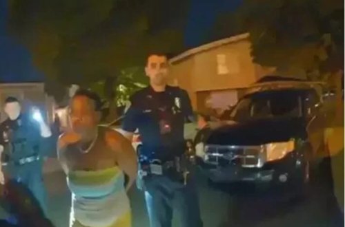 Pişiyi öldürüb yediyi iddia edilən qadına 1 il həbs cəzası