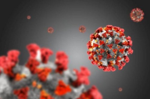 “Dəhşətli bir pandemiyanın olması proqnozlaşdırılır”— XƏBƏRDARLIQ