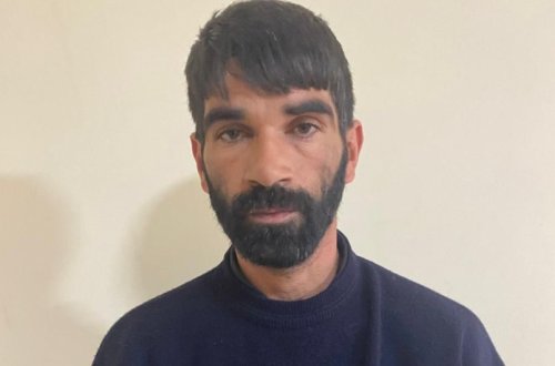 Kürdəmirdə 26 min manatlıq iribuynuzlu heyvan oğurlanıb