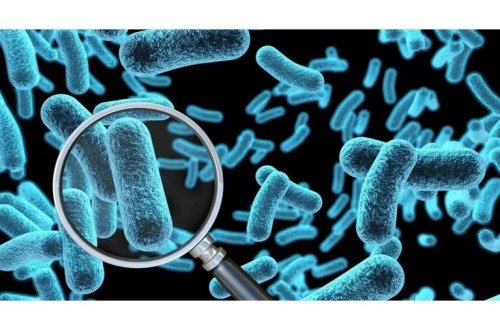 Avstraliyada həyəcan: 323 şüşə 