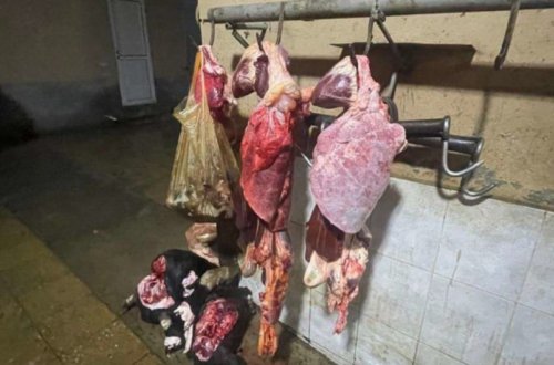 Ağcabədidə istehlaka yararsız 171 kq ət və subməhsulun satışının qarşısı alınıb