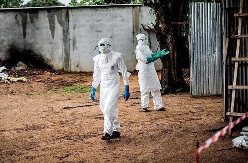 Qanada vəba epidemiyası nəticəsində 14 nəfər ölüb