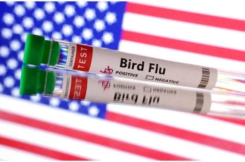 ABŞ-da epidemiya həyəcanı: İnsanlarda görülən ilk ciddi hadisə 