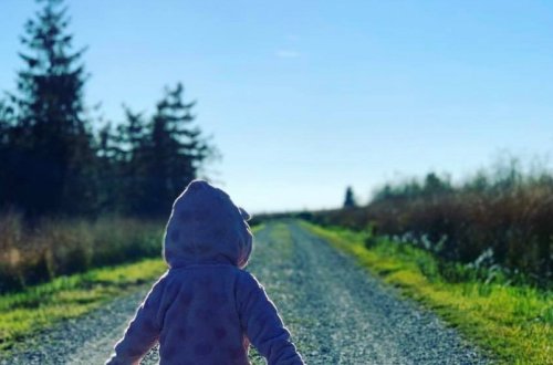 Sumqayıtda 13 yaşlı qız itkin düşüb