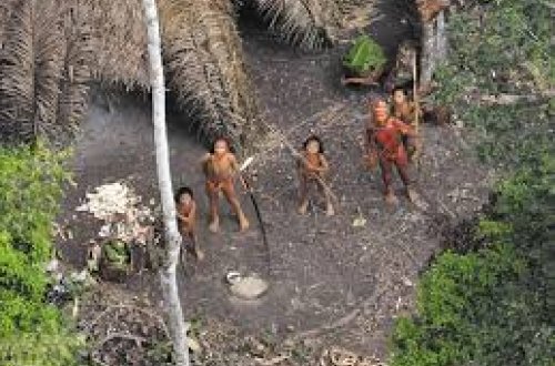 Braziliyada naməlum hindu tayfası tapıldı