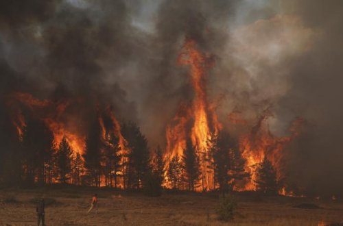 Avstraliyada güclü meşə yanğınları: 70 min hektar ərazi külə döndü
