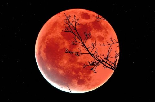 Gələn il iki Günəş, iki Ay tutulması olacaq