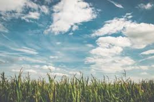 Bayram günlərində gözlənilən hava proqnozu açıqlanıb