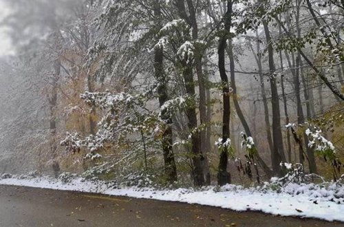 Sabah bəzi bölgələrdə 10 dərəcəyədək şaxta olacaq