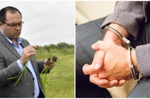 Məcnun Məmmədovun yaxın kadrı həbs edildi: YARIM MİLYON YEYİNTİ