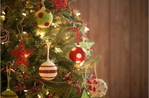 Belçika Qida Agentliyi: Zəhmət olmasa, Milad ağacınızı yeməyin