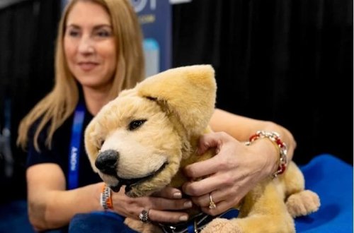 Alzheimer üçün robot it: Baxım tələb etmir, əsli kimi sevimlidir