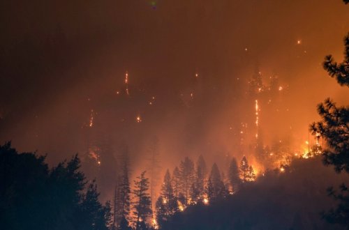 Kaliforniyada yanğınlar nəticəsində dəyən zərər 250-275 milyard dollara çatıb