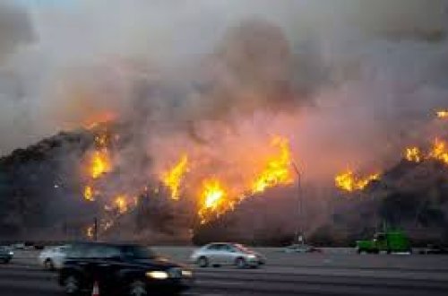 Los Angeles yanğınlarında kimyəvi təhlükə: İçməli su ilə qarışa bilər
