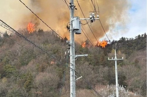 Yaponiyada meşə yanğını baş verib