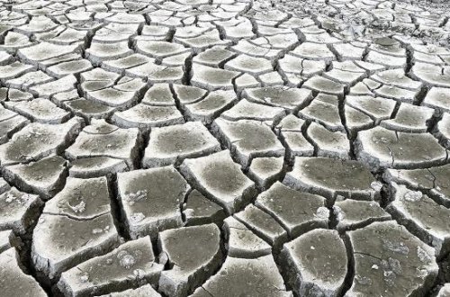 Meqa quraqlıqlar getdikcə şiddətlənir