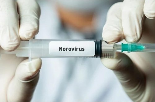 İngiltərədə norovirus hadisələri yüzdə 80 artıb: Xəstəxana sıxlığı rekord səviyyədədir
