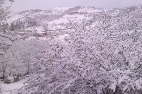 Lənkəran-Astara bölgəsinə intensiv yağış, Yardımlıya qar yağıb - FAKTİKİ HAVA