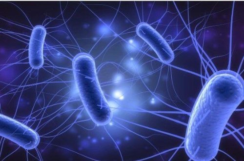 Suçiçəyi peyvəndi meymunçiçəyindən qoruyur? - İki xəstəliyin oxşar və fərqli əlamətləri