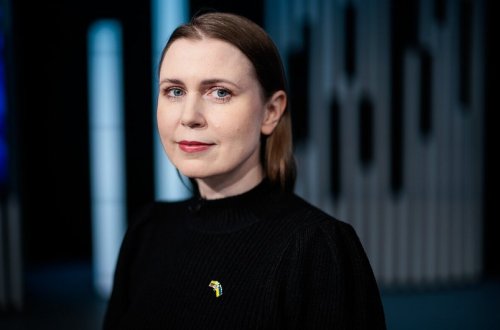 Litvanın müdafiə naziri Aİ-ni ABŞ silahları almağa çağırıb