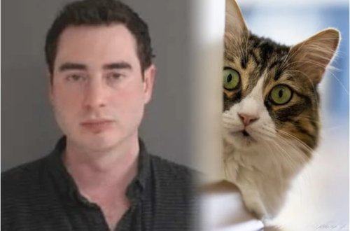 Sürət həddini aşan sürücü cərimədən xilas ola bilmədi