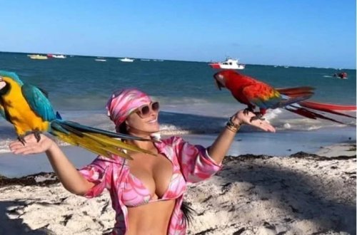 Həyat yoldaşı paylaşdı, baron tutuldu: Həbsxanaya aparan bayram fotoşəkilləri